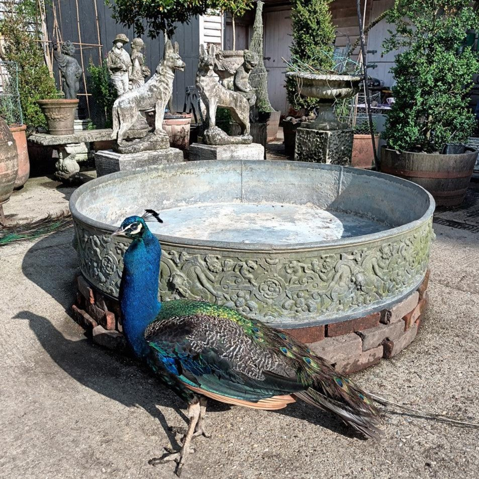 A Huge Edwardian Lead Planter