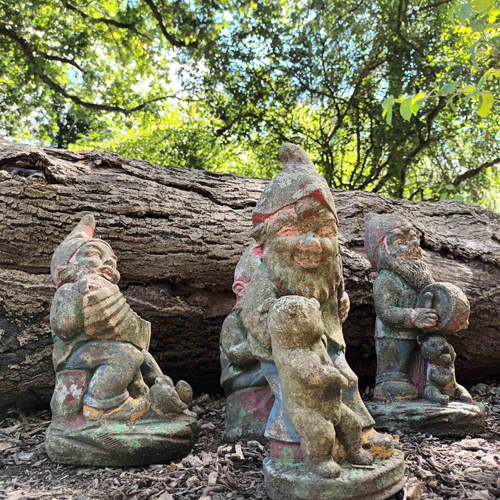 A Set Of Eight Garden Gnomes