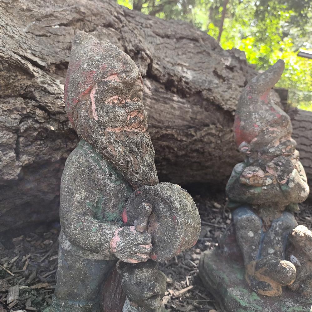 A Set Of Eight Garden Gnomes