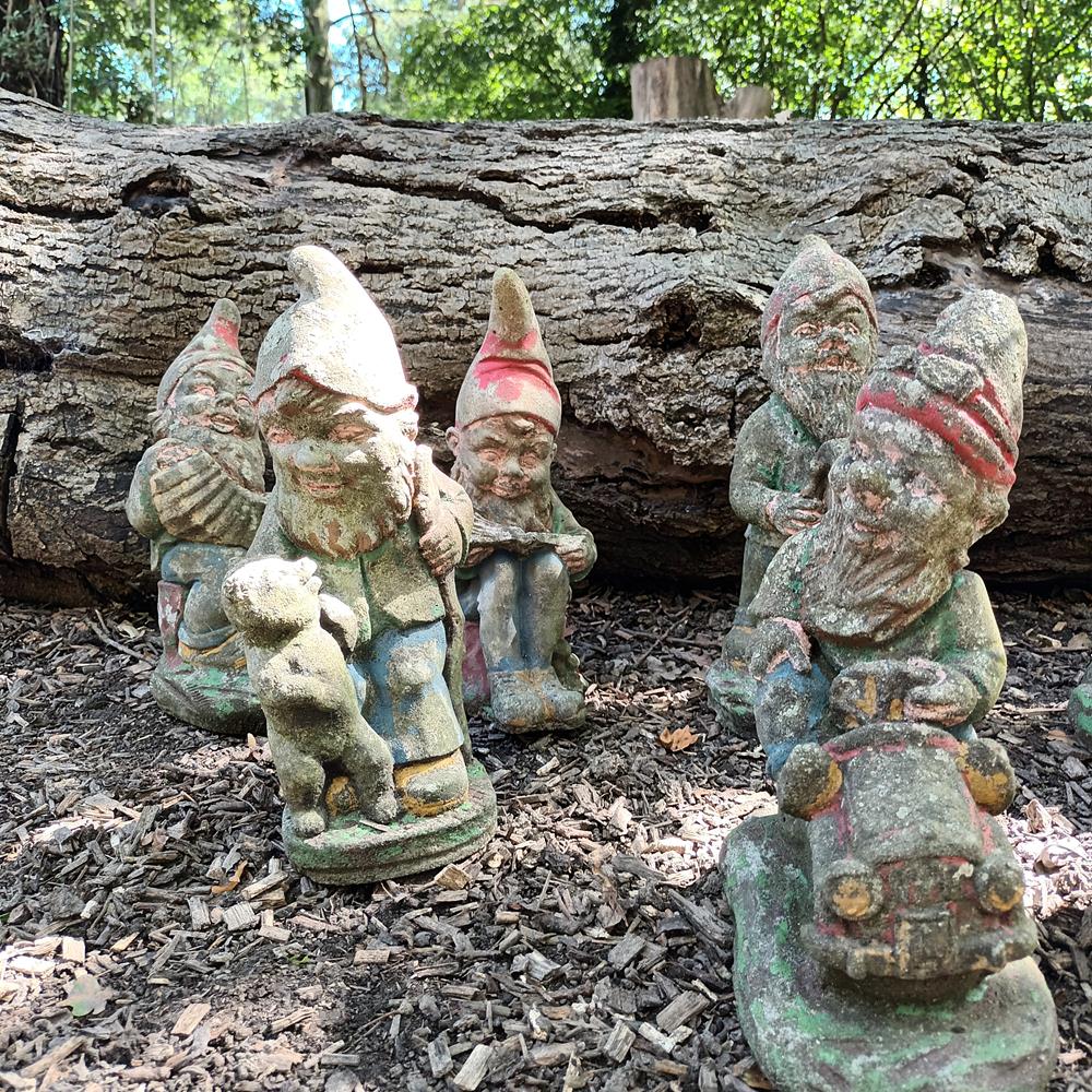 A Set Of Eight Garden Gnomes