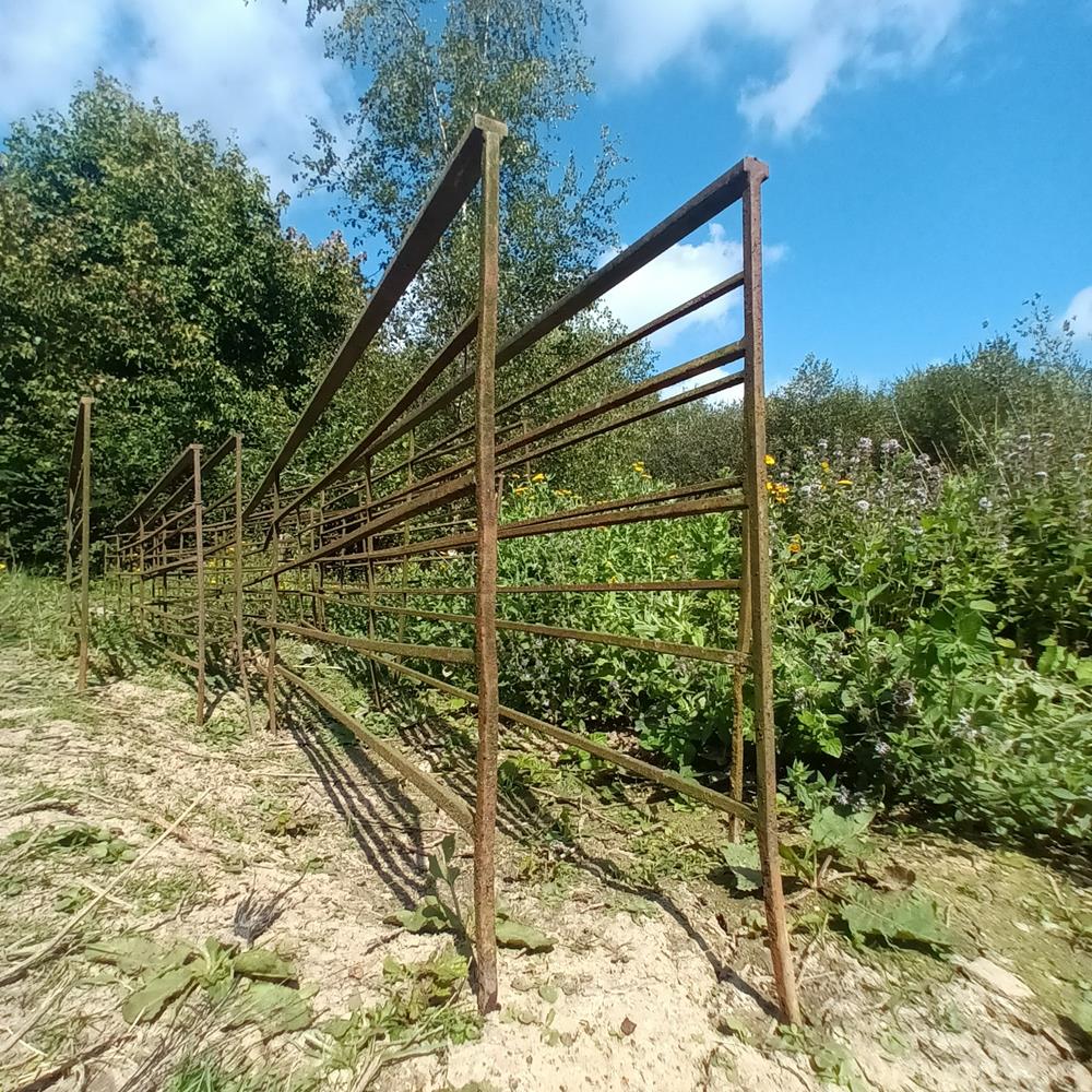 Low Iron Railings