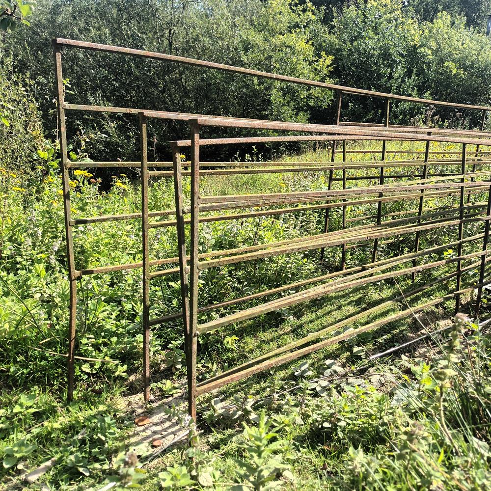 Low Iron Railings