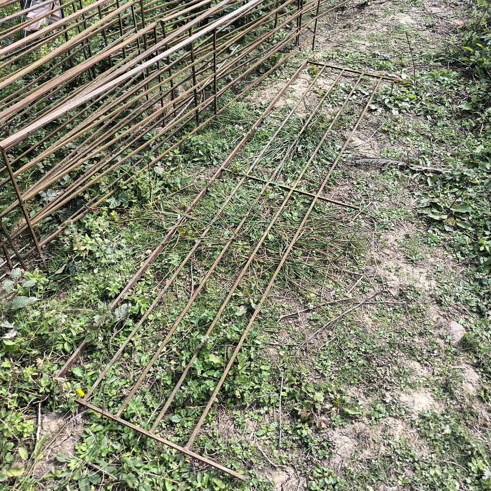 Low Iron Railings