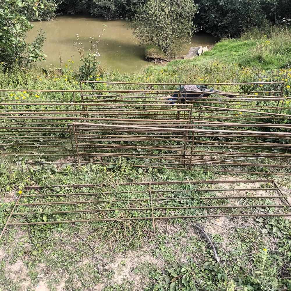 Low Iron Railings
