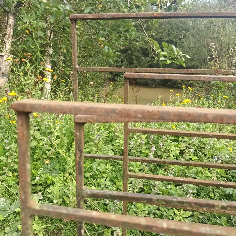Low Iron Railings