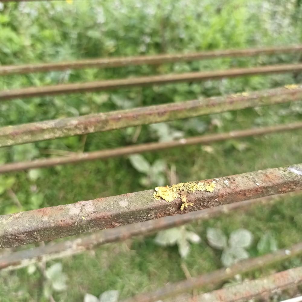 Low Iron Railings