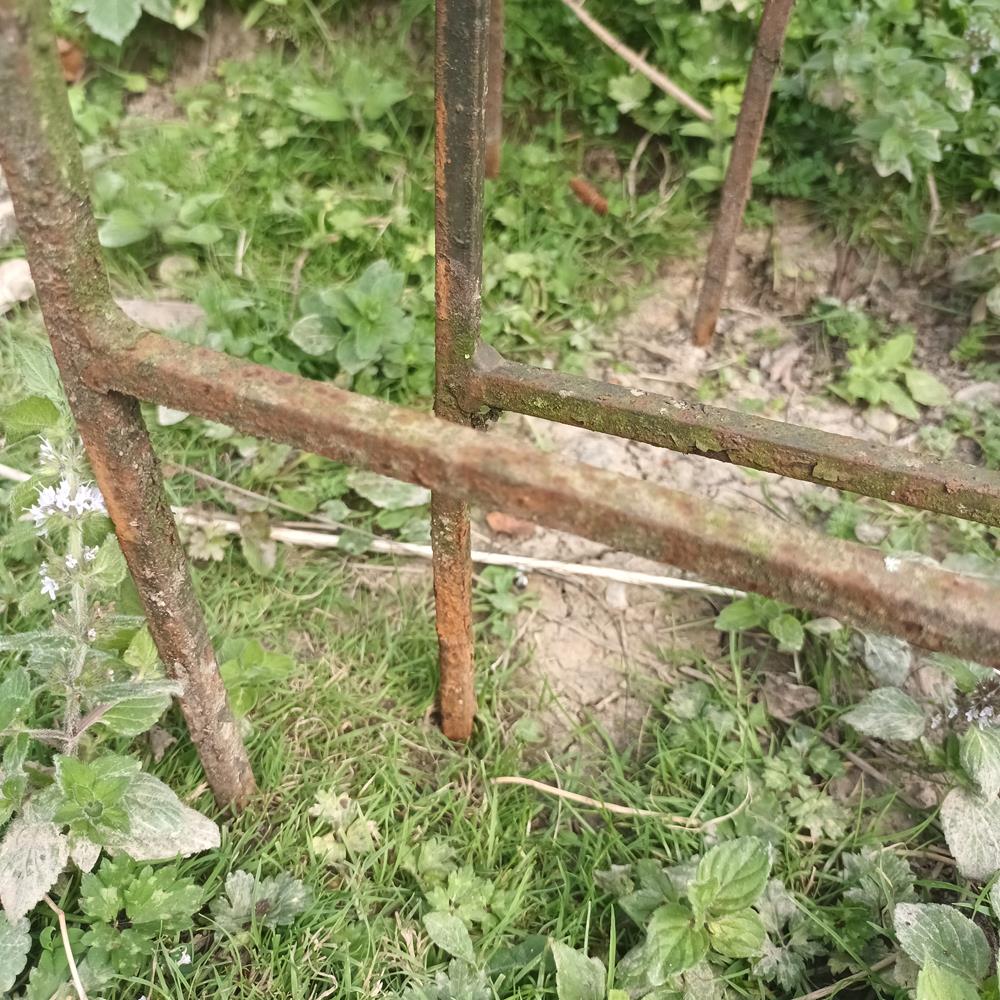 Low Iron Railings