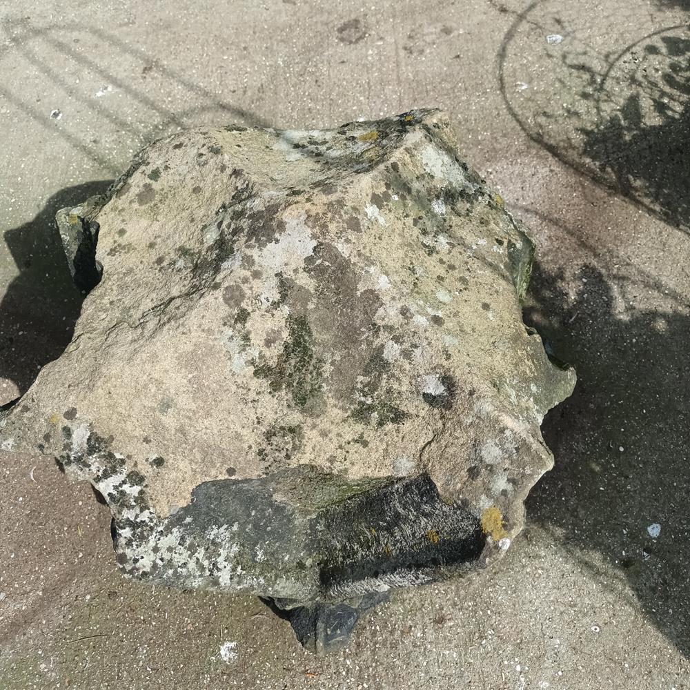 A Gothic Sandstone Fragment