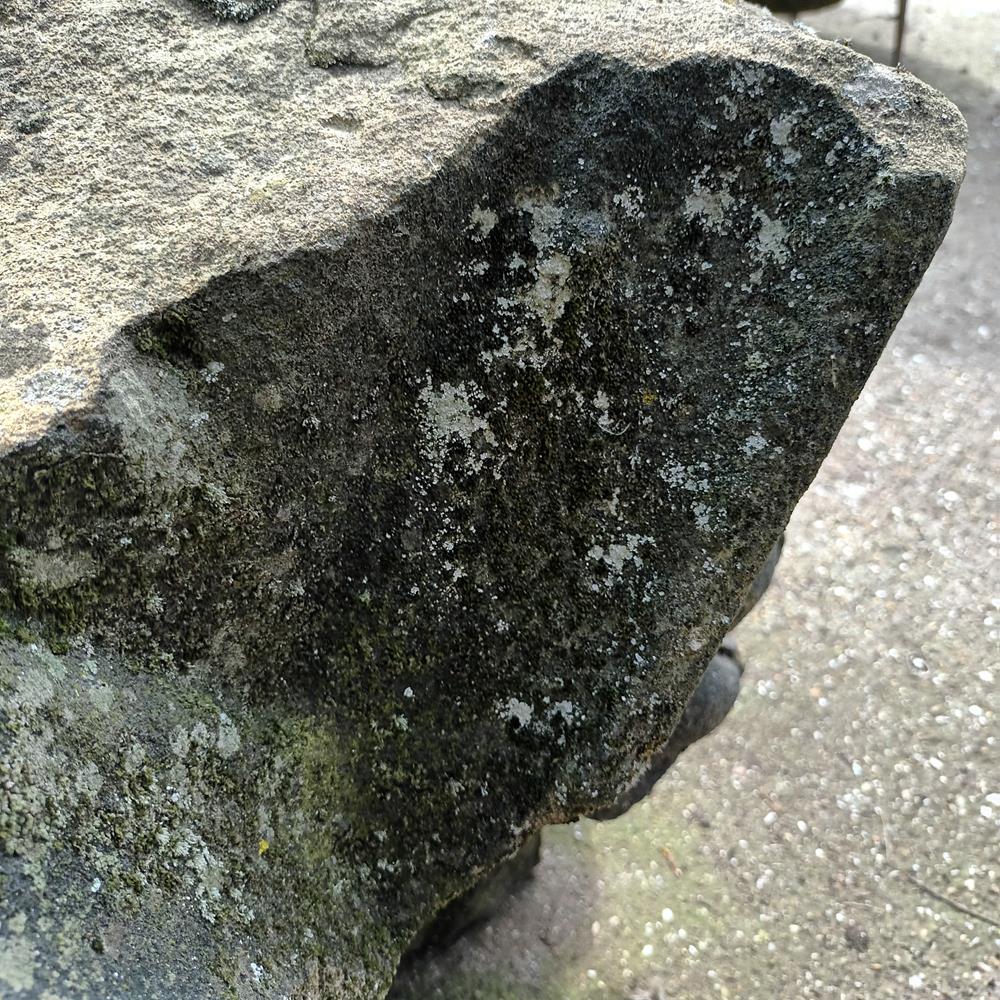 A Gothic Sandstone Fragment