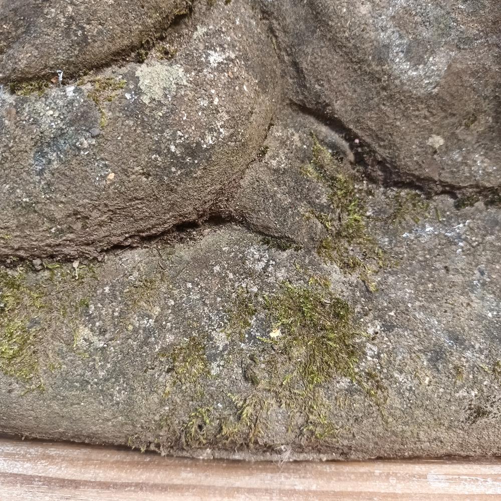 Composite Stone Fox