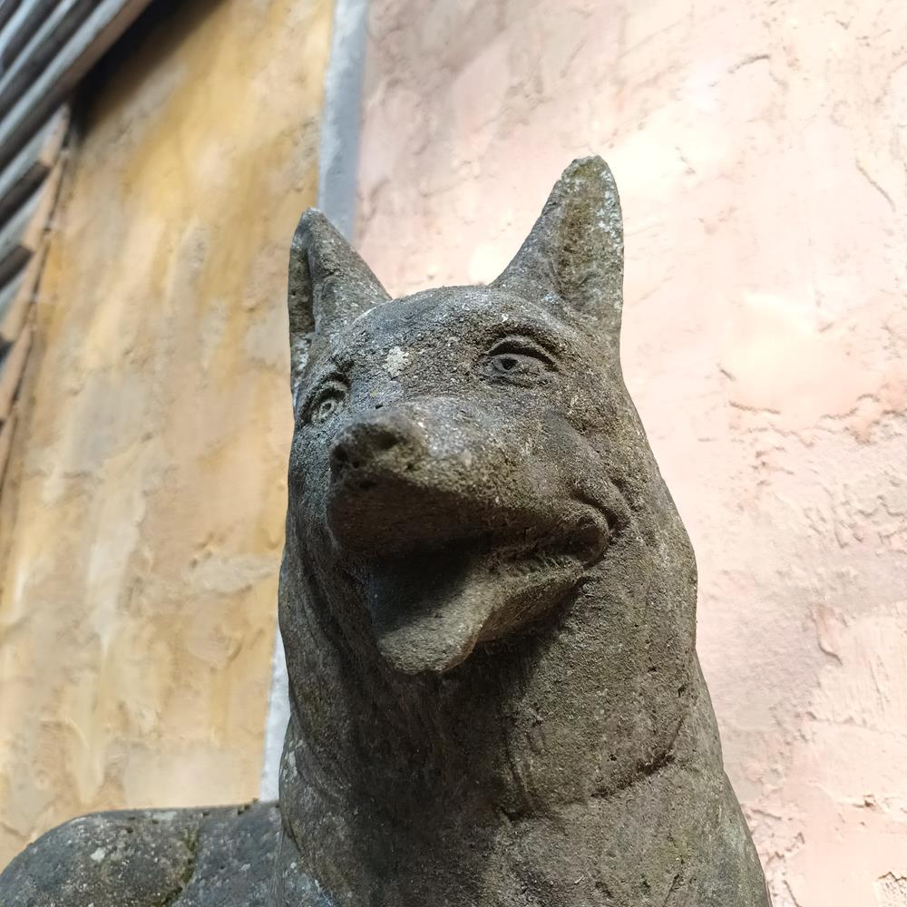 Composite Stone Fox
