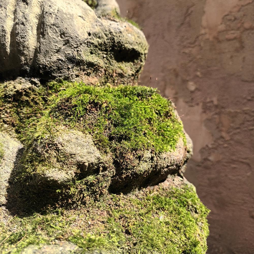 A Pair Of 19th Century Finials