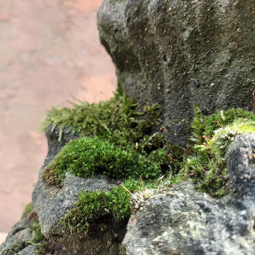 A Pair Of 19th Century Finials