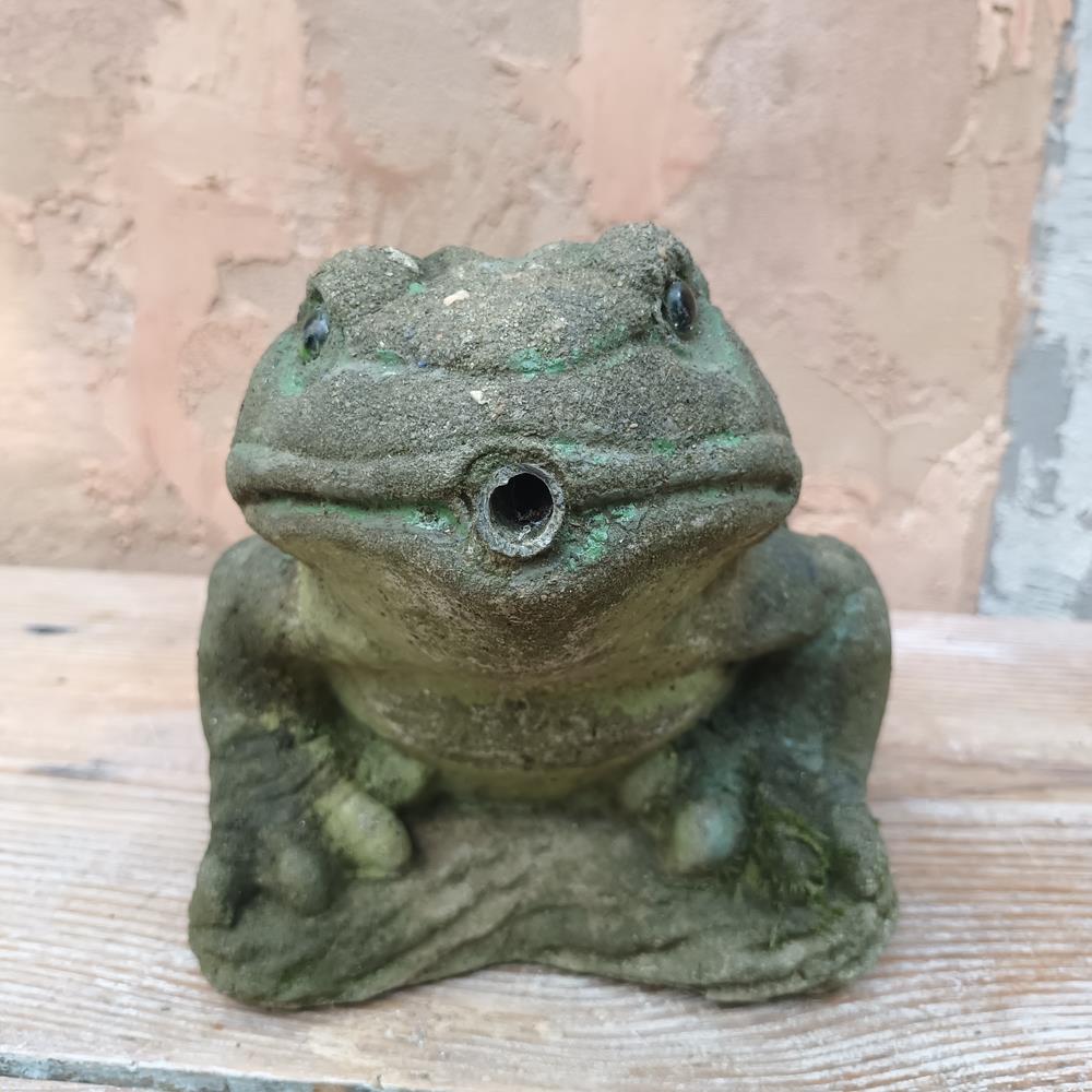 Toads & Frog Statues