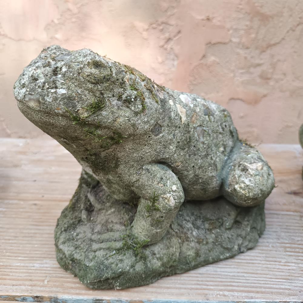 Toads & Frog Statues
