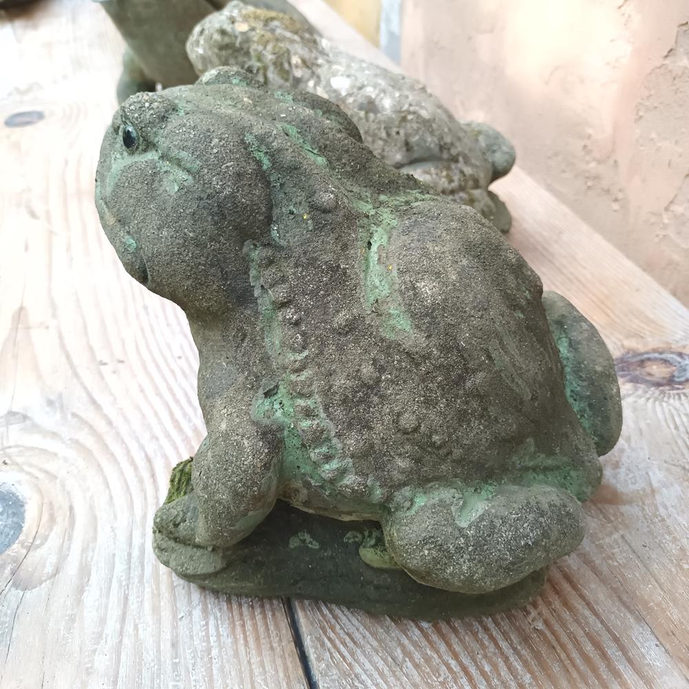 Toads & Frog Statues