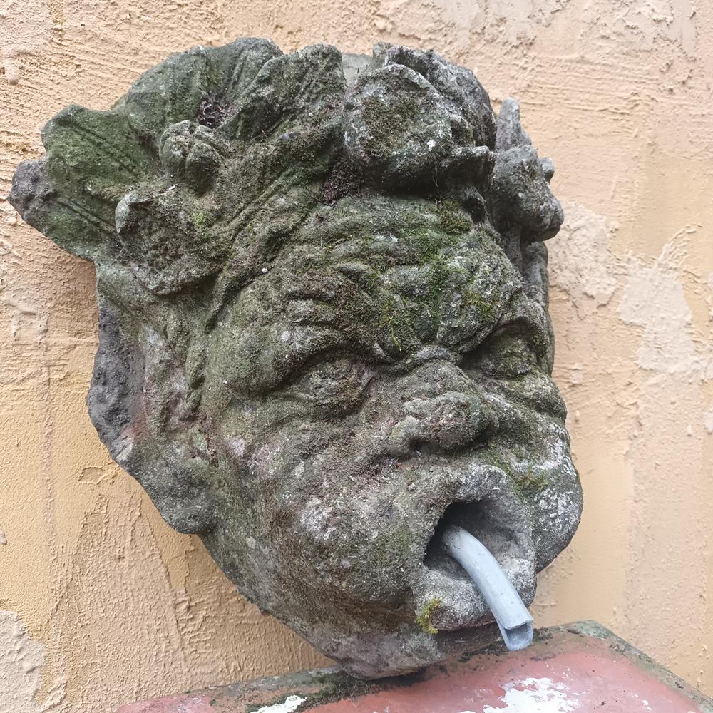 Wall Mounted Fountain Head