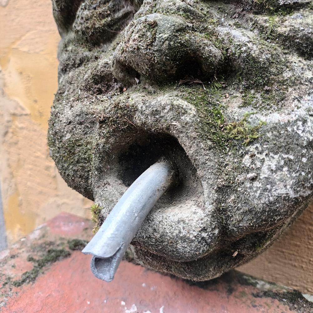 Wall Mounted Fountain Head