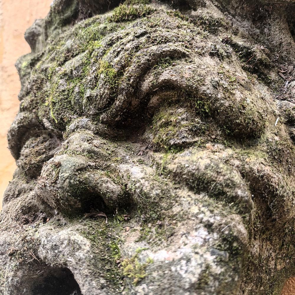 Wall Mounted Fountain Head