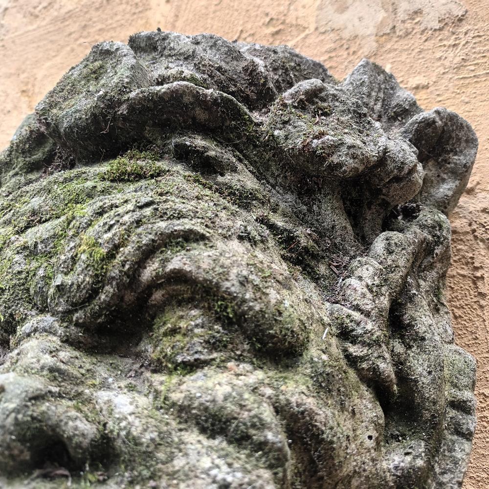 Wall Mounted Fountain Head