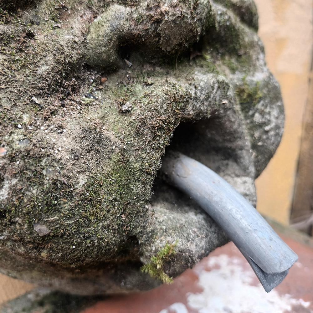 Wall Mounted Fountain Head
