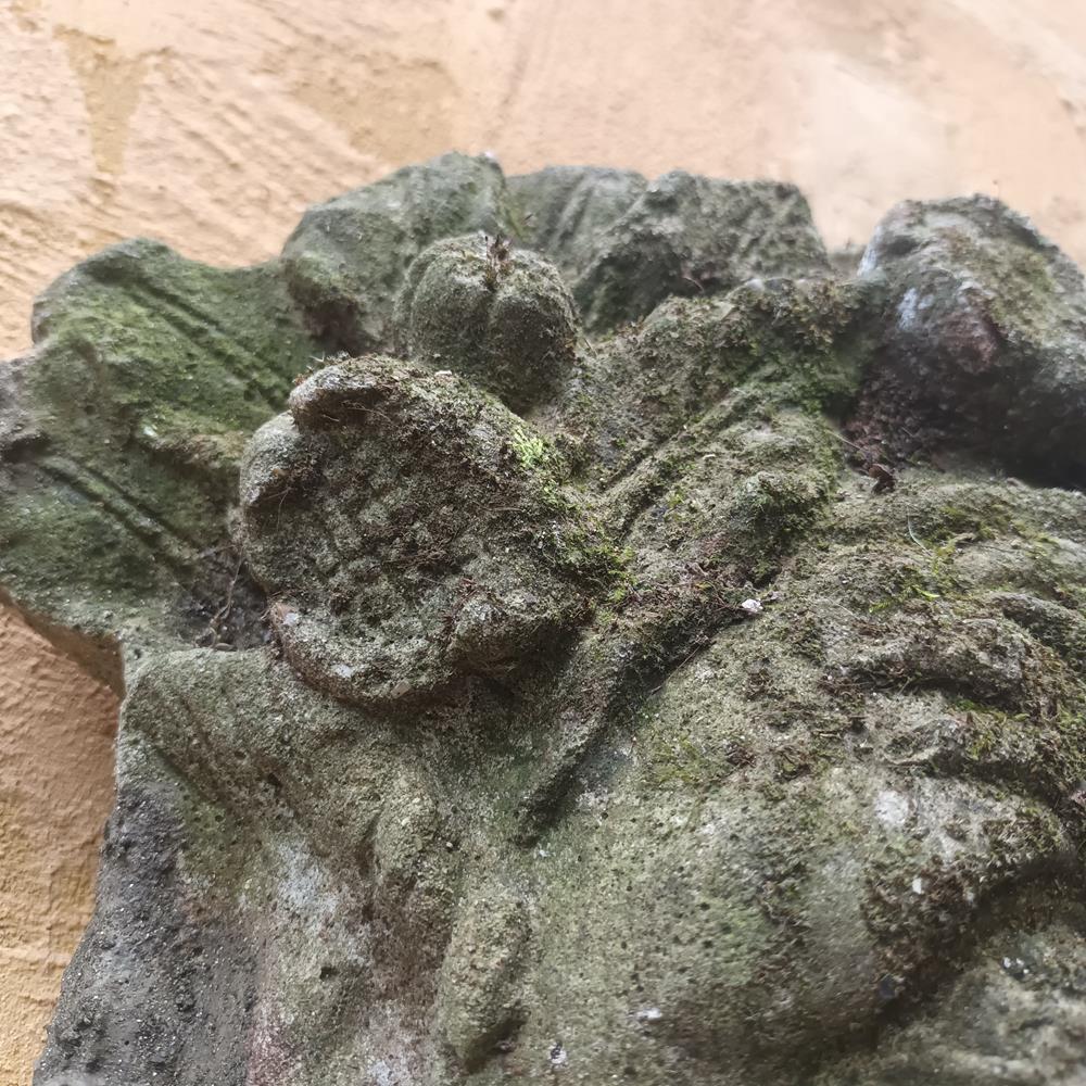 Wall Mounted Fountain Head