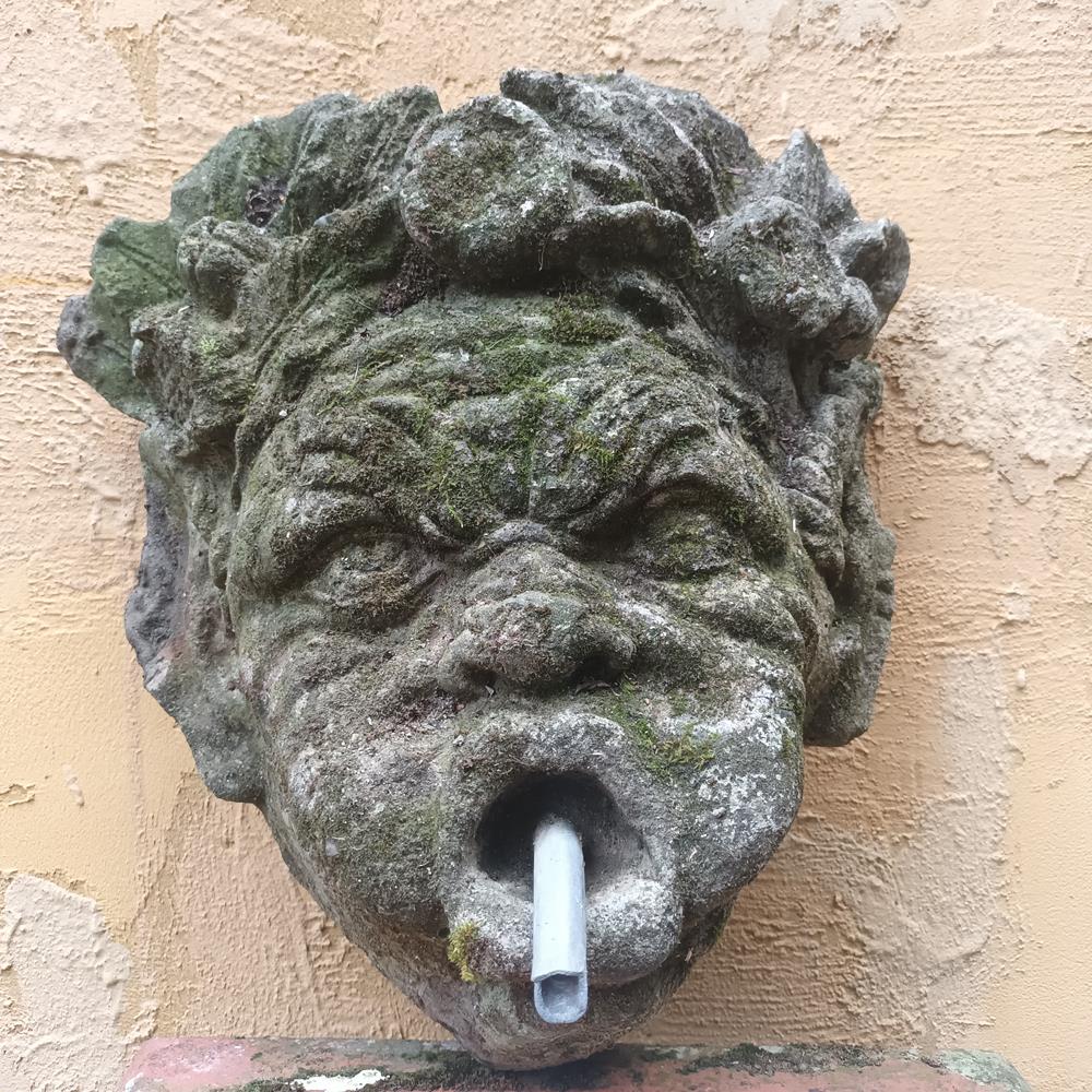 Wall Mounted Fountain Head