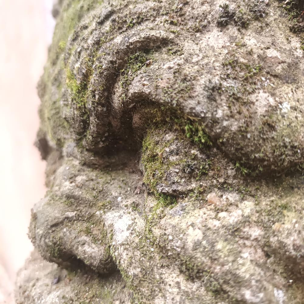 Wall Mounted Fountain Head