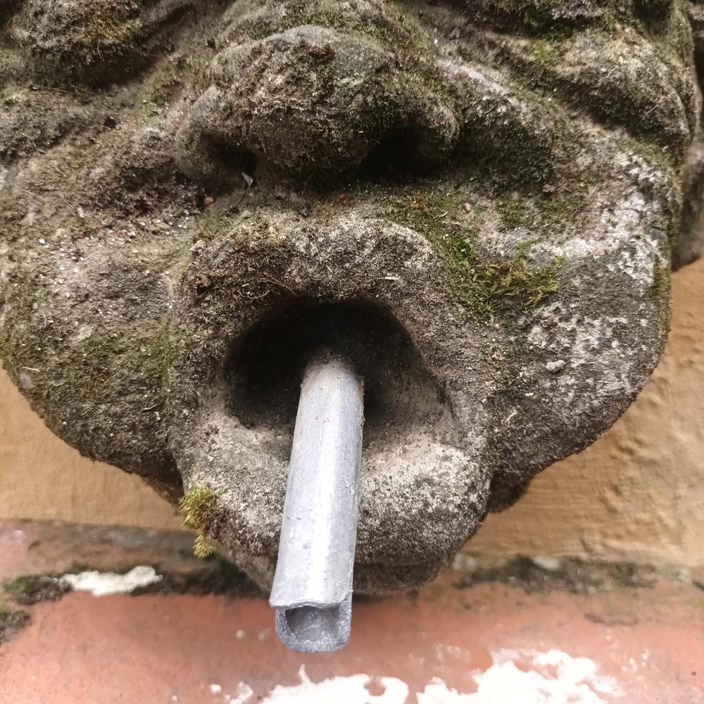 Wall Mounted Fountain Head