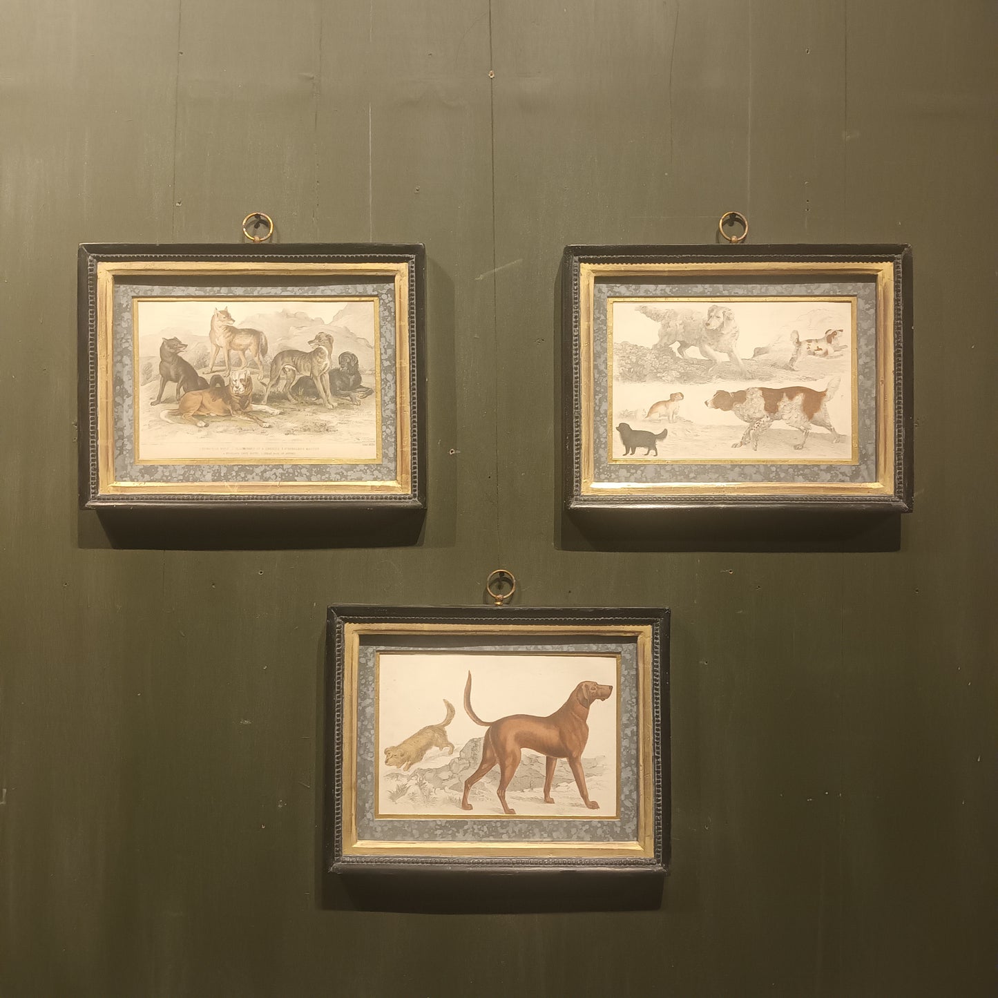 19th Century Framed Dog Engraving Pictures