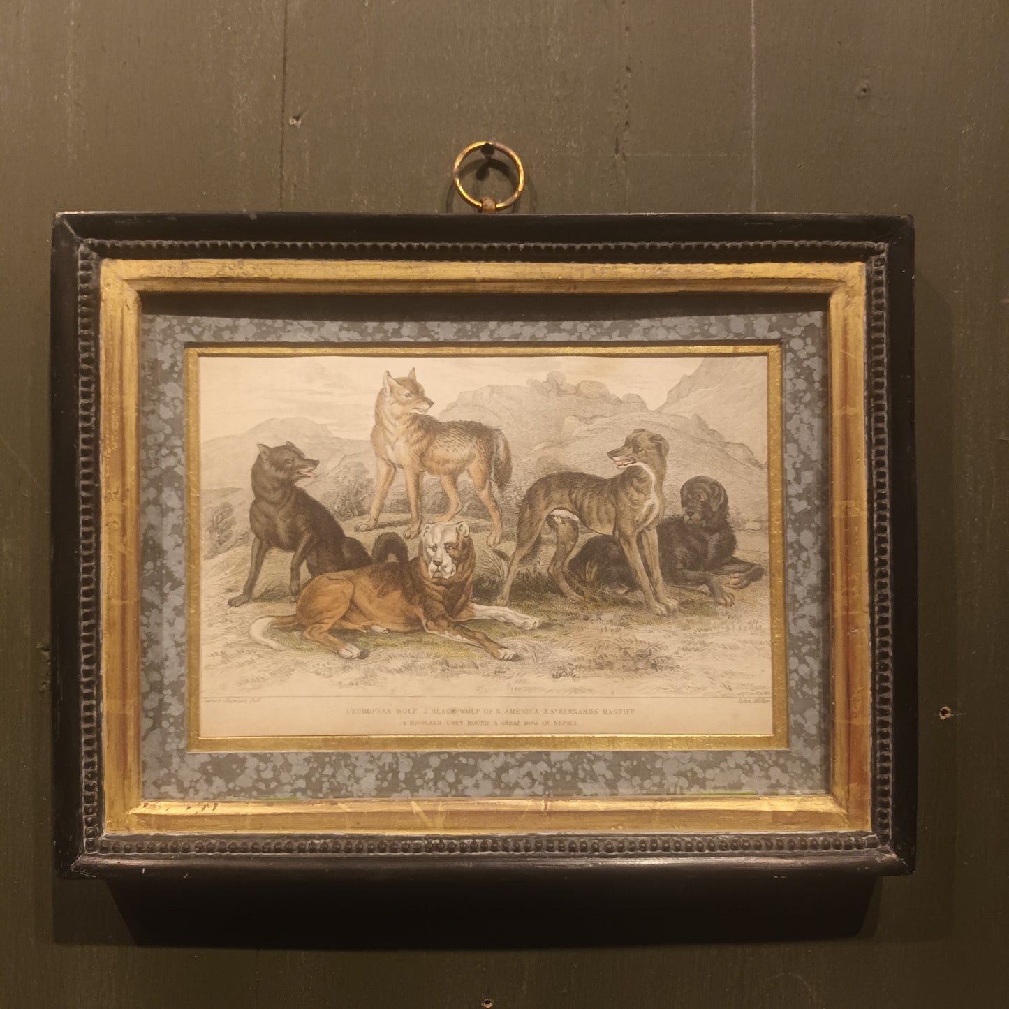 19th Century Framed Dog Engraving Pictures
