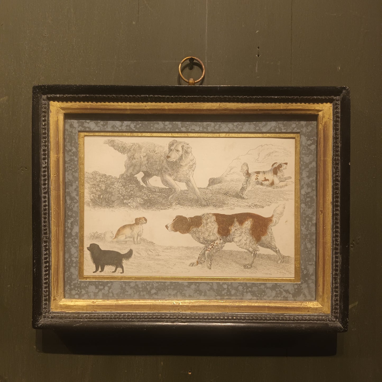 19th Century Framed Dog Engraving Pictures