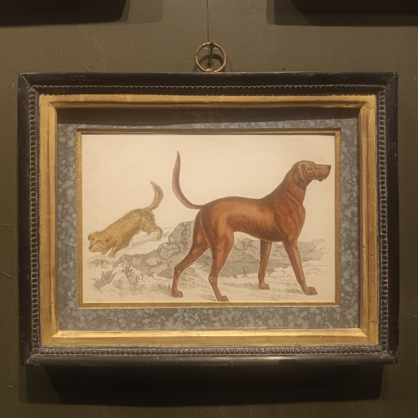 19th Century Framed Dog Engraving Pictures