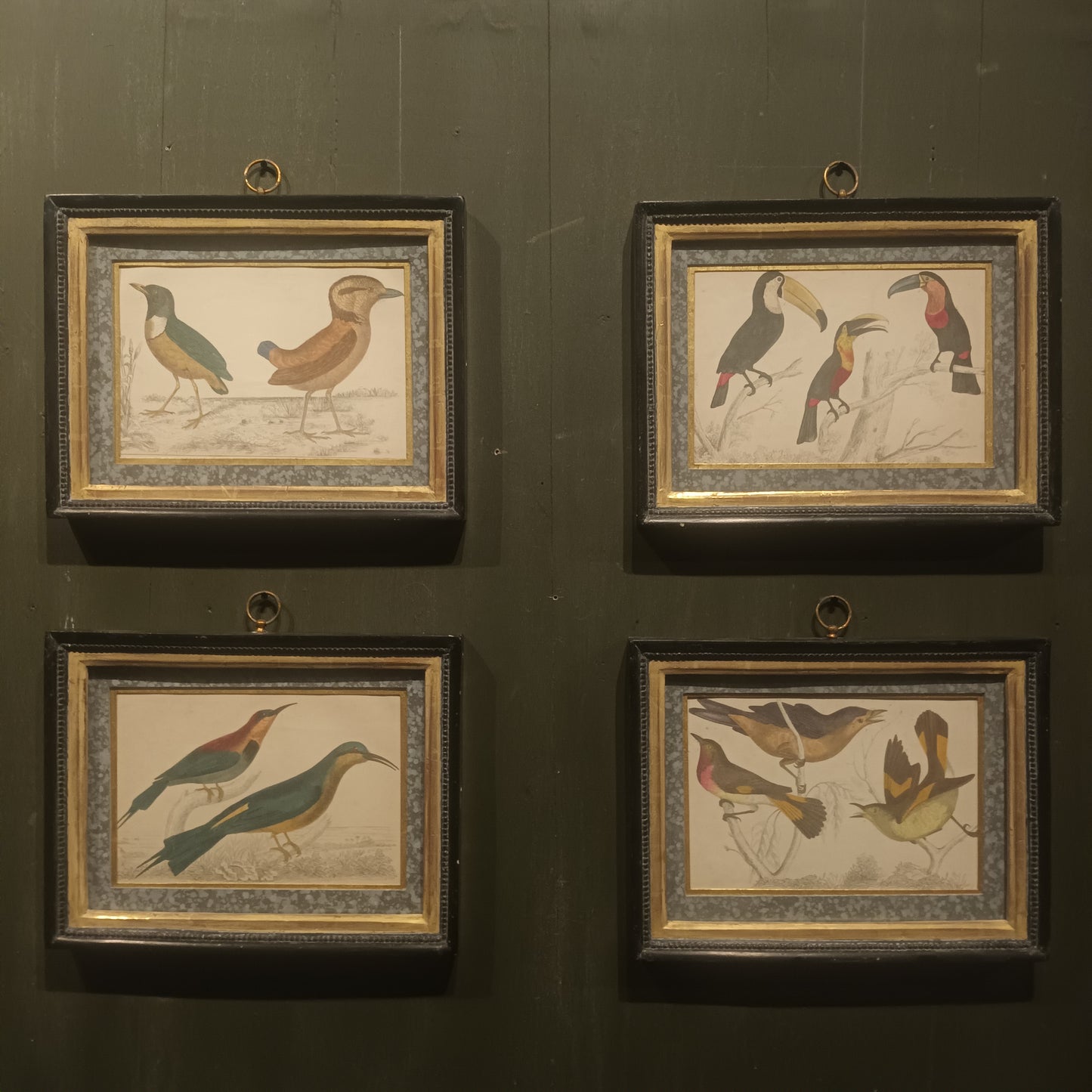 19th Century Framed Bird Pictures