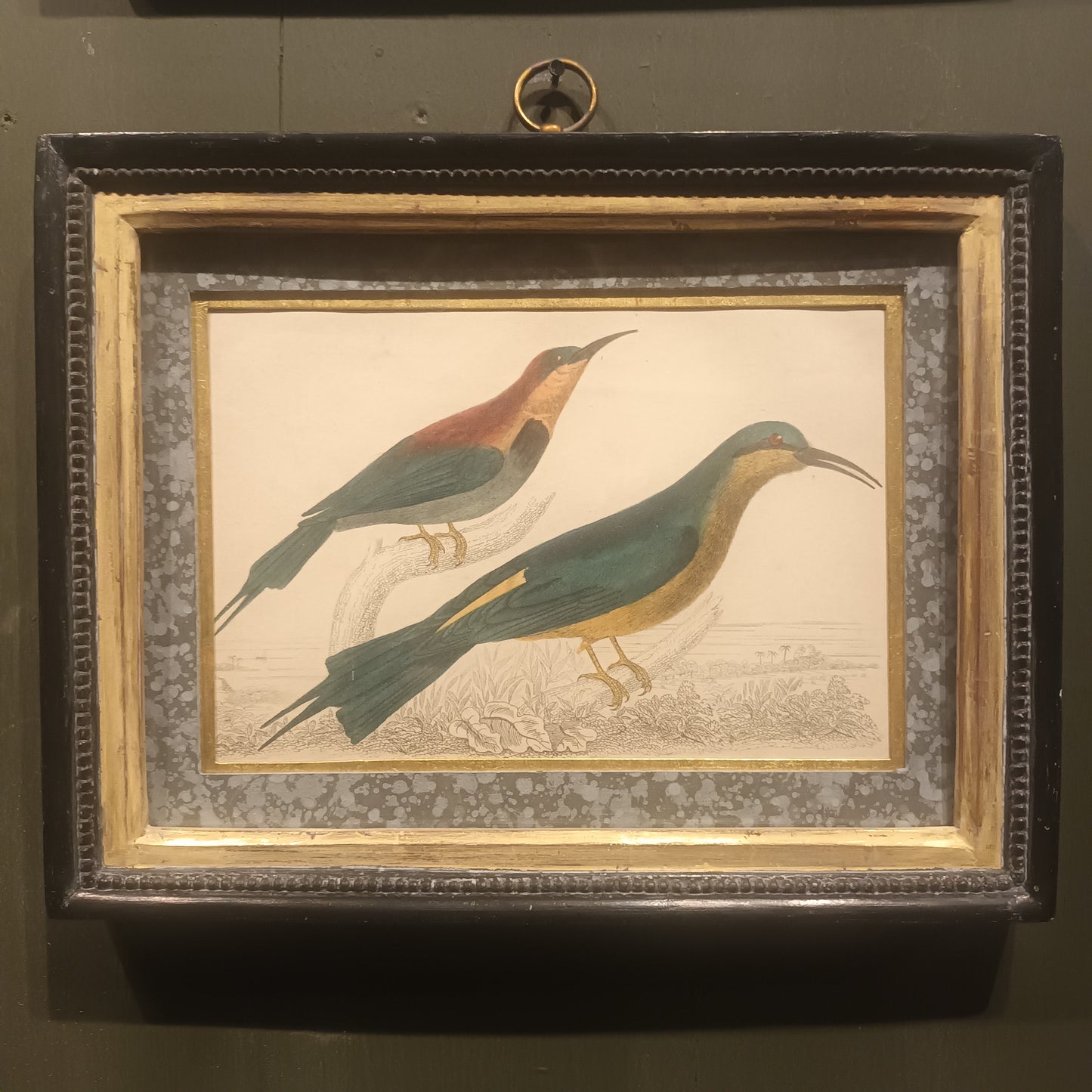 19th Century Framed Bird Pictures