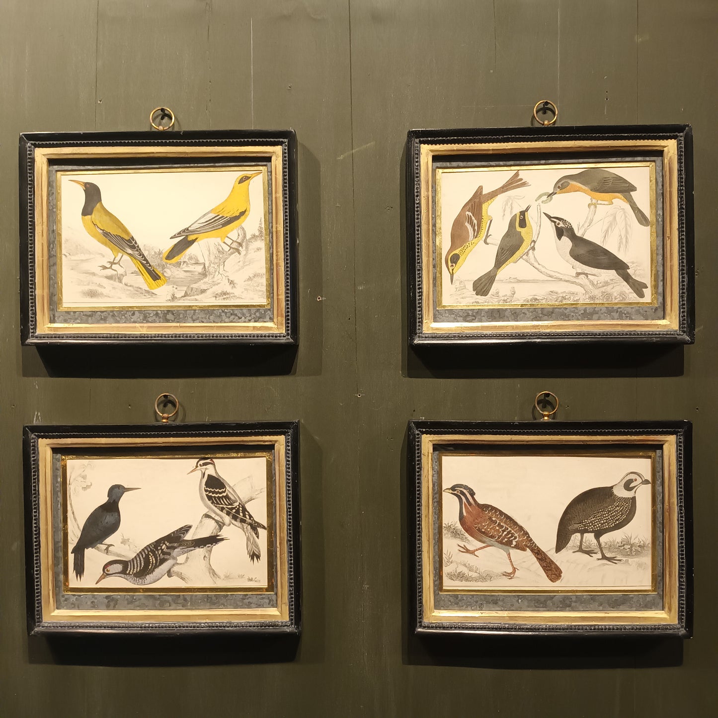19th Century Framed Bird Pictures