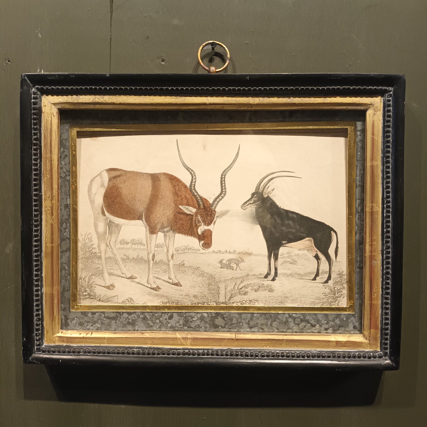 19th Century Framed Antelope and Hog Pictures