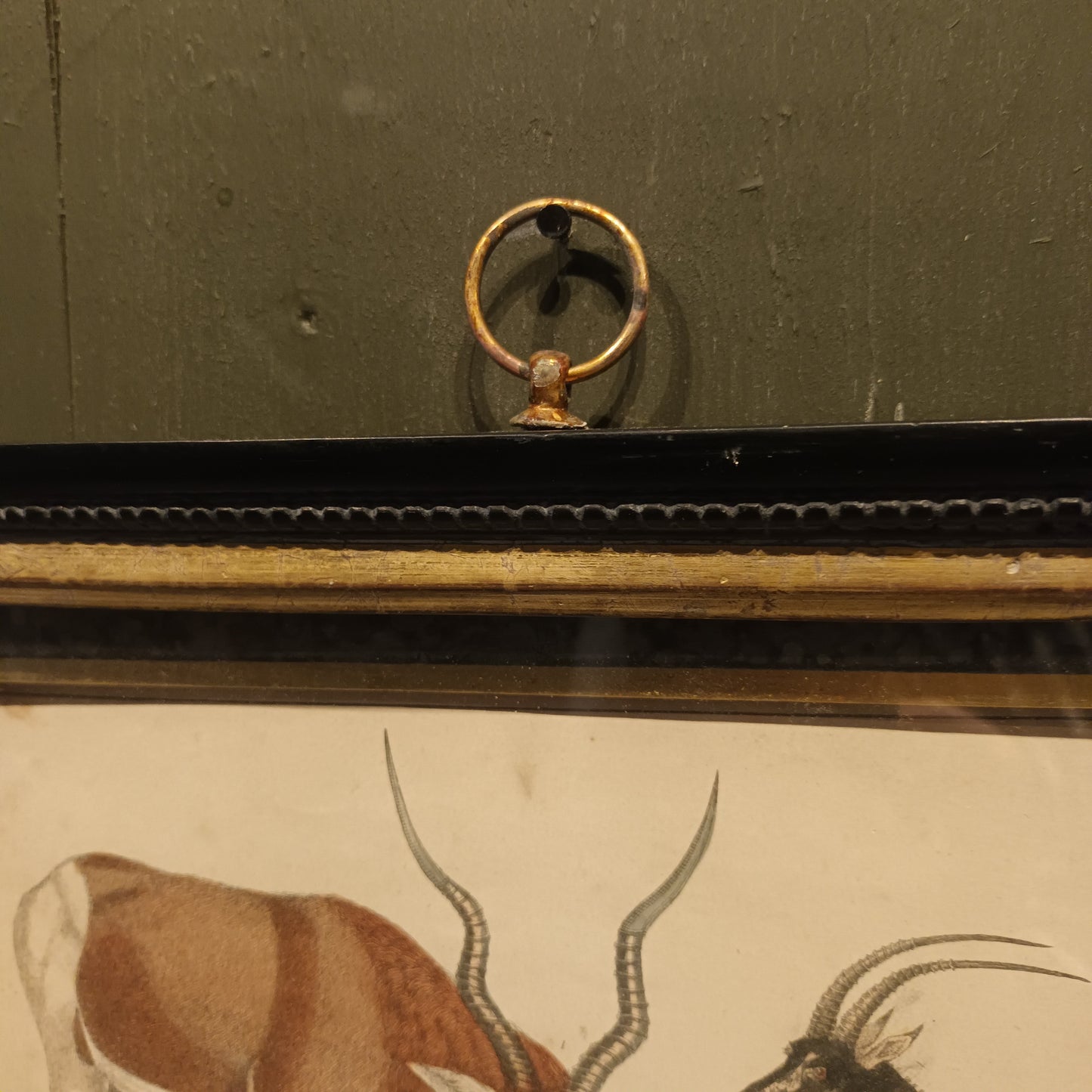 19th Century Framed Antelope and Hog Pictures