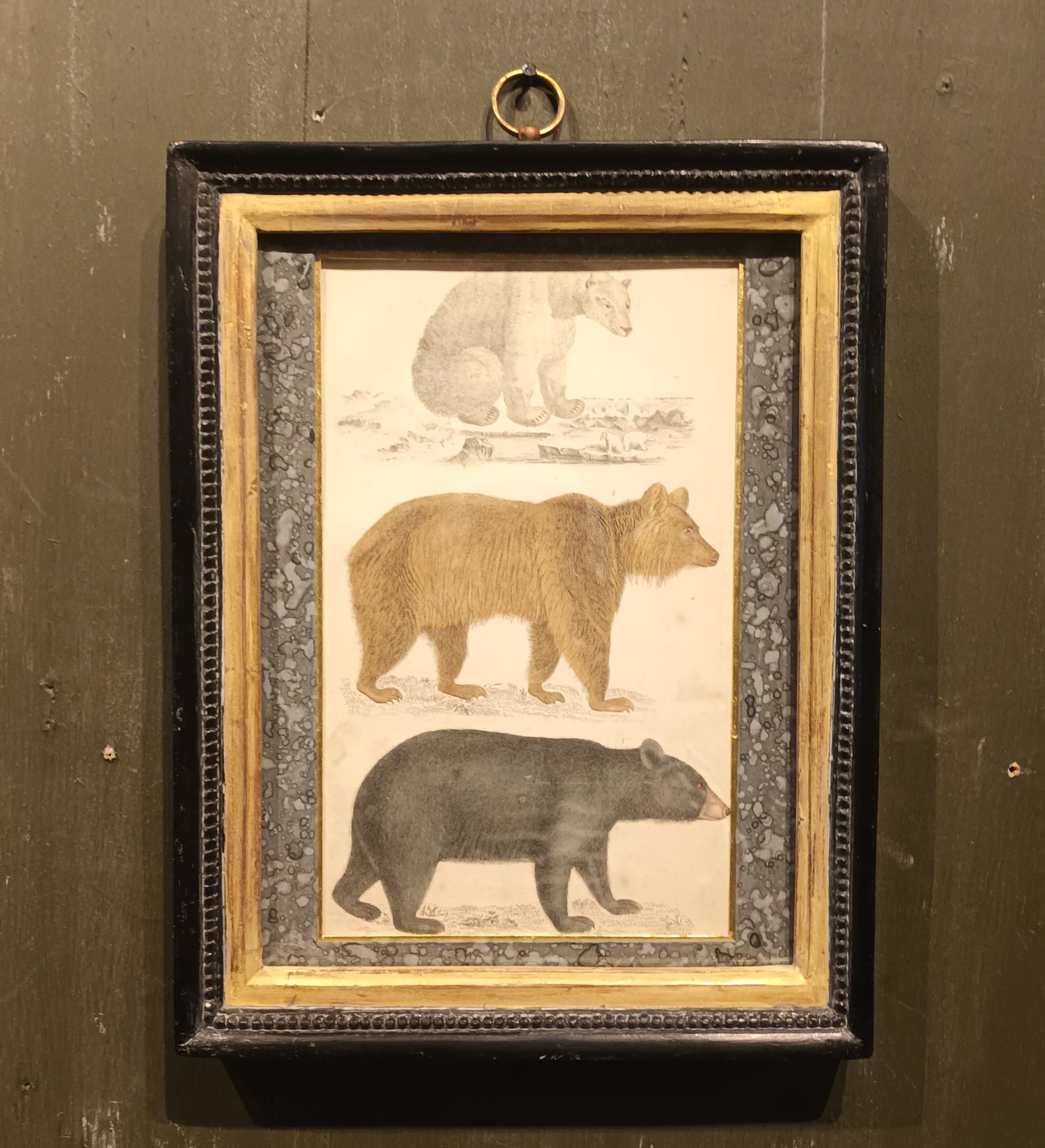 19th Century Framed Bear Picture