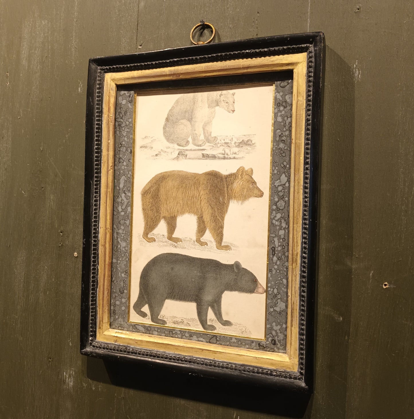 19th Century Framed Bear Picture