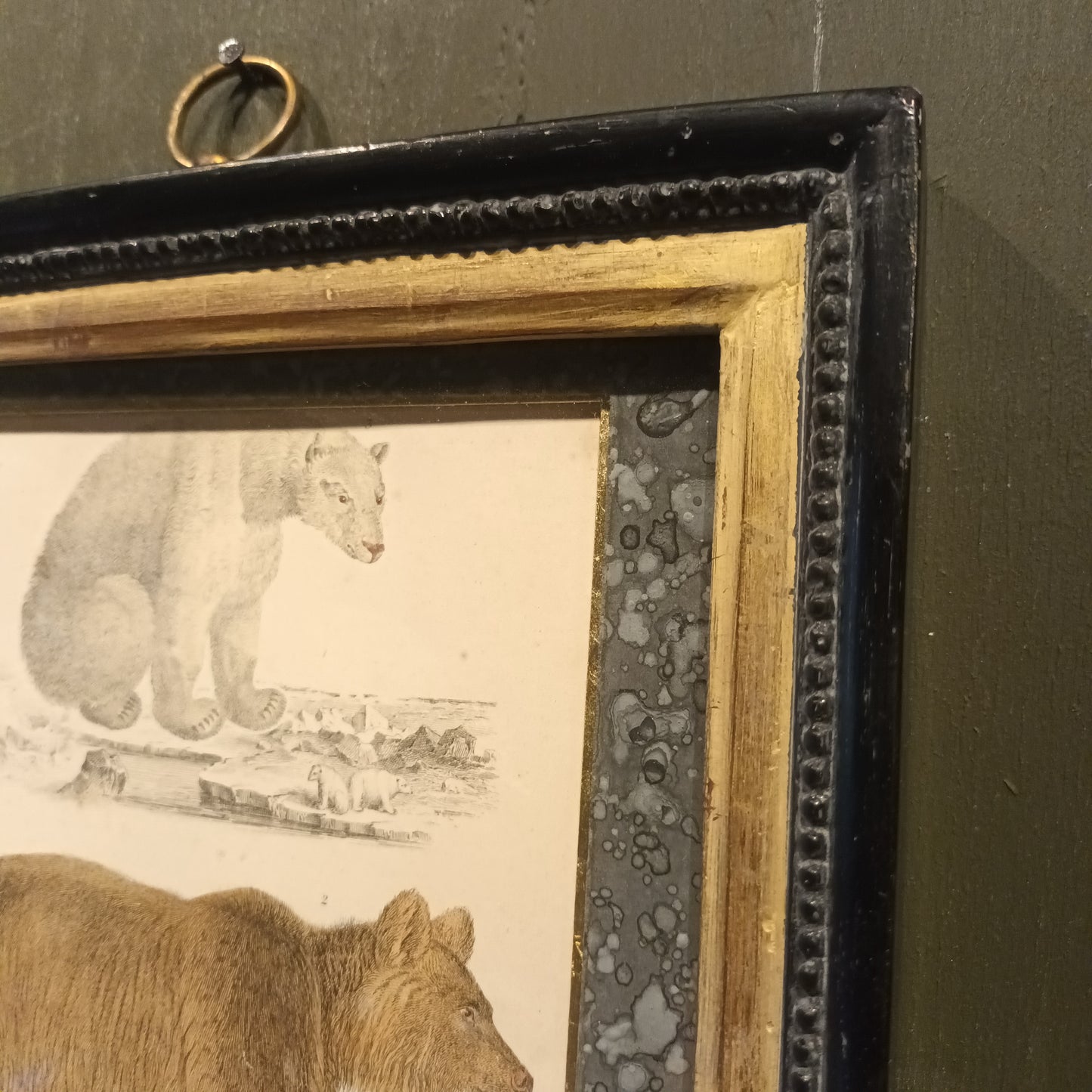 19th Century Framed Bear Picture