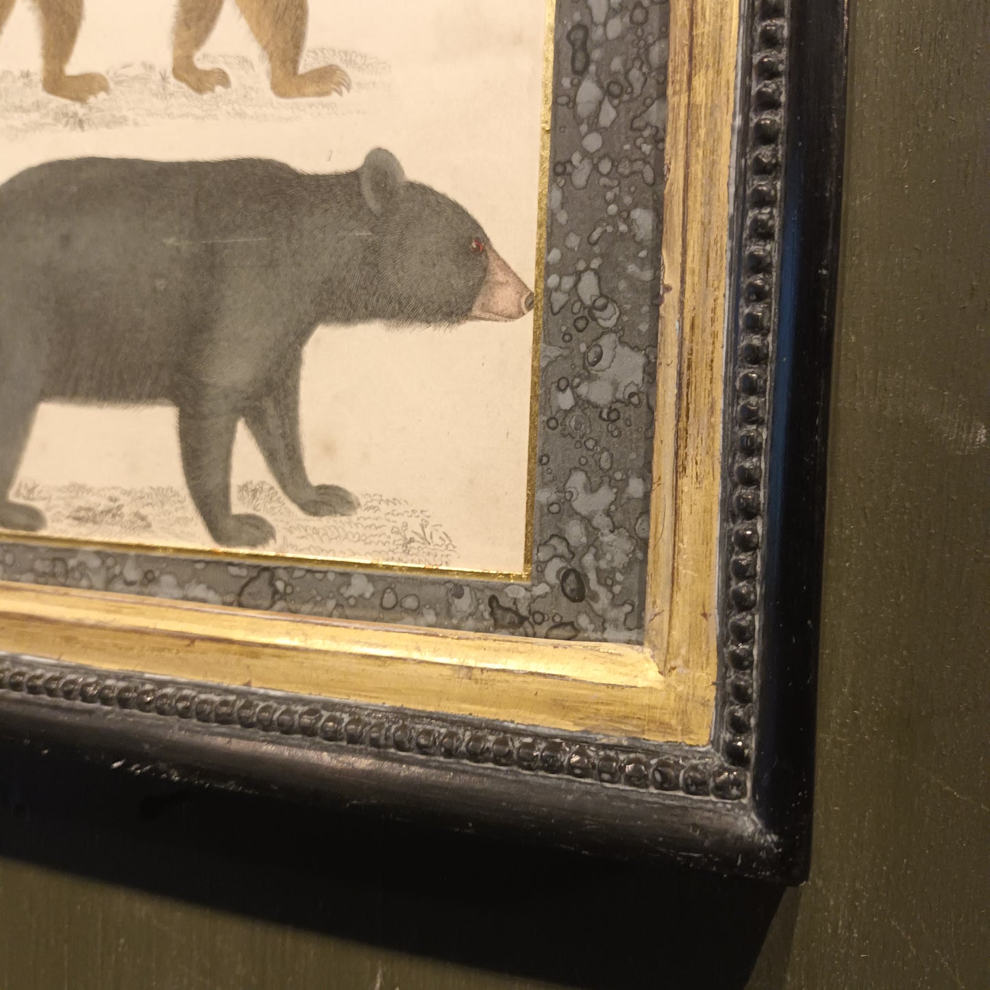 19th Century Framed Bear Picture