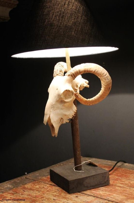 Ram Head Skull Lamp