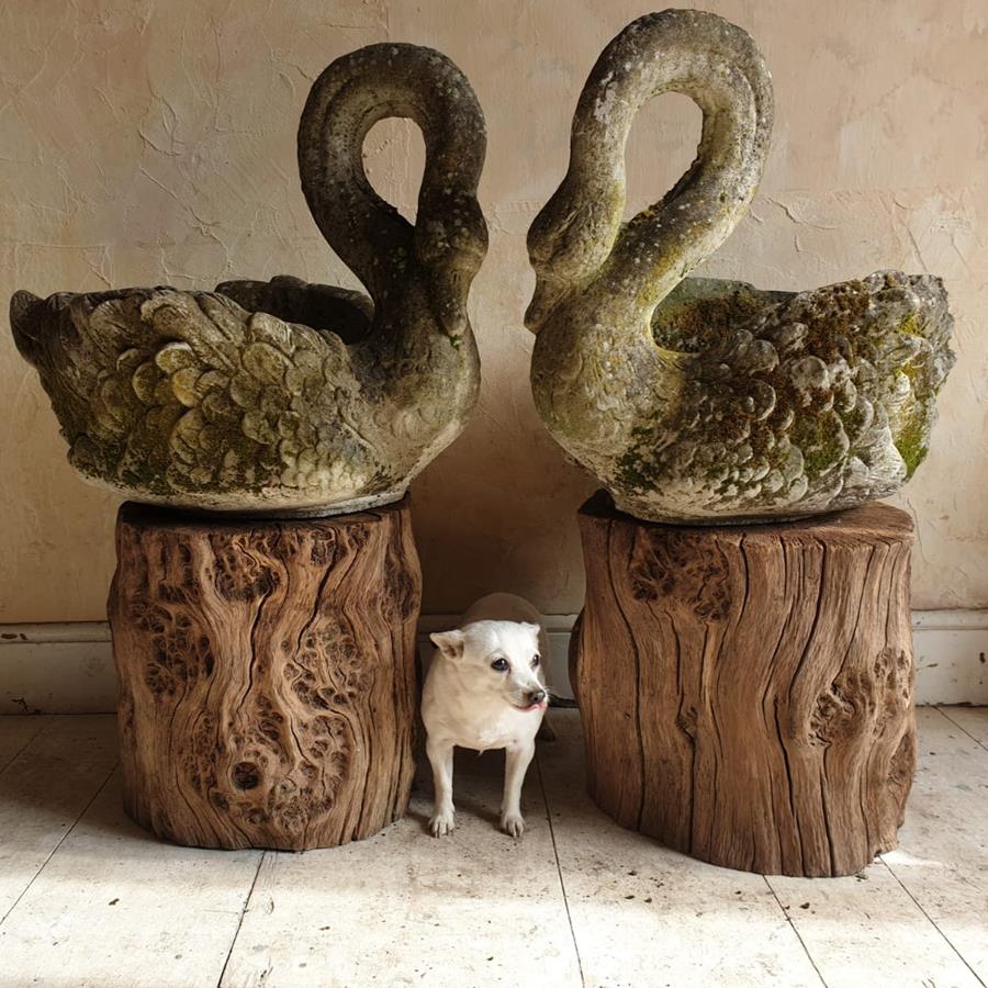 Pair Of Swan Planters