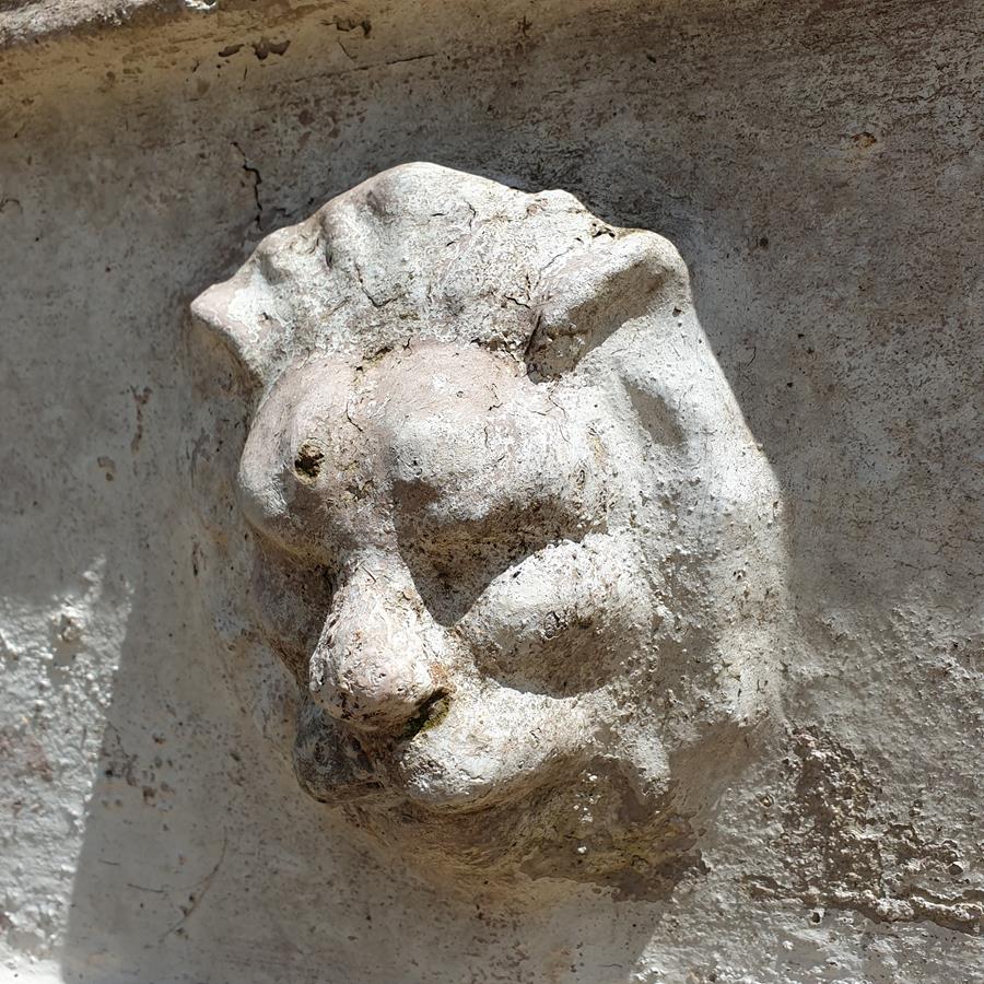 Lion Trough