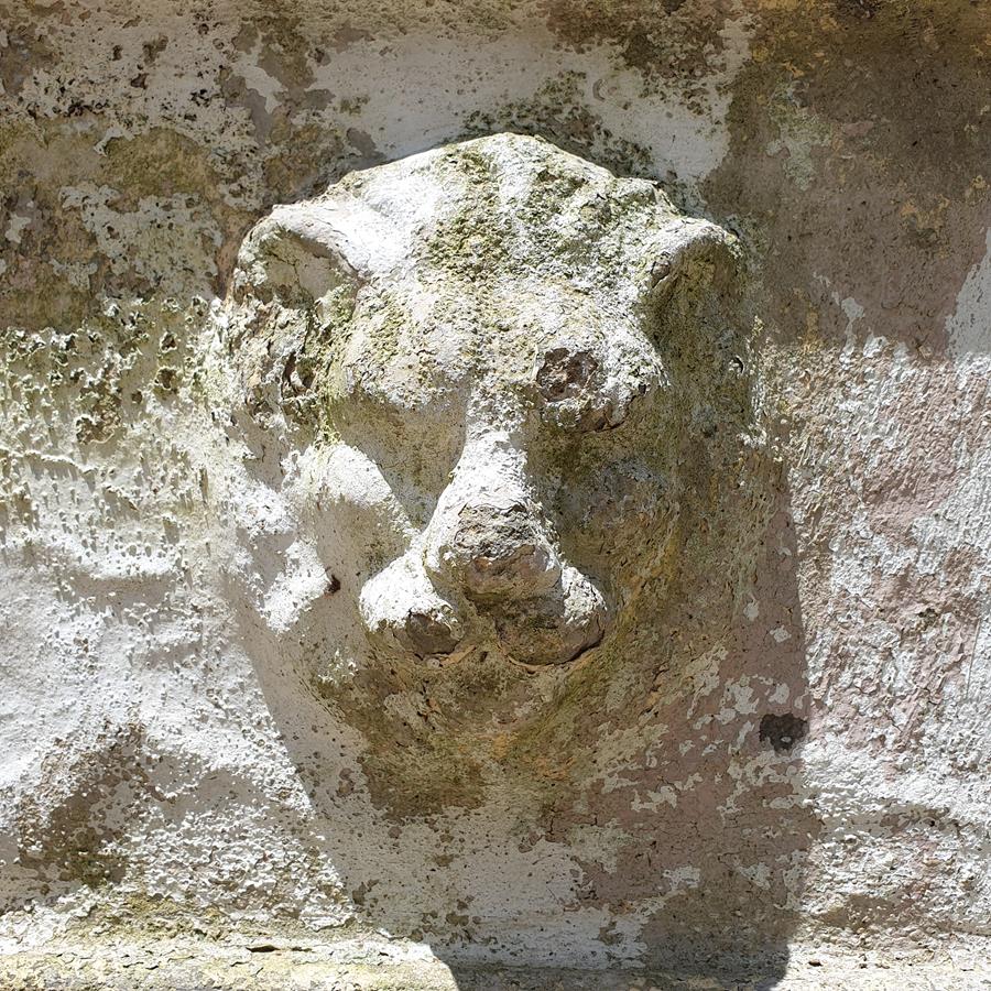 Lion Trough