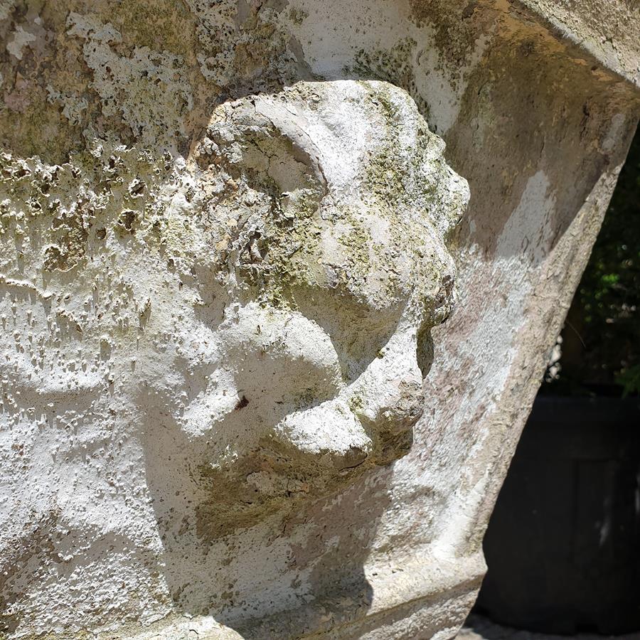 Lion Trough