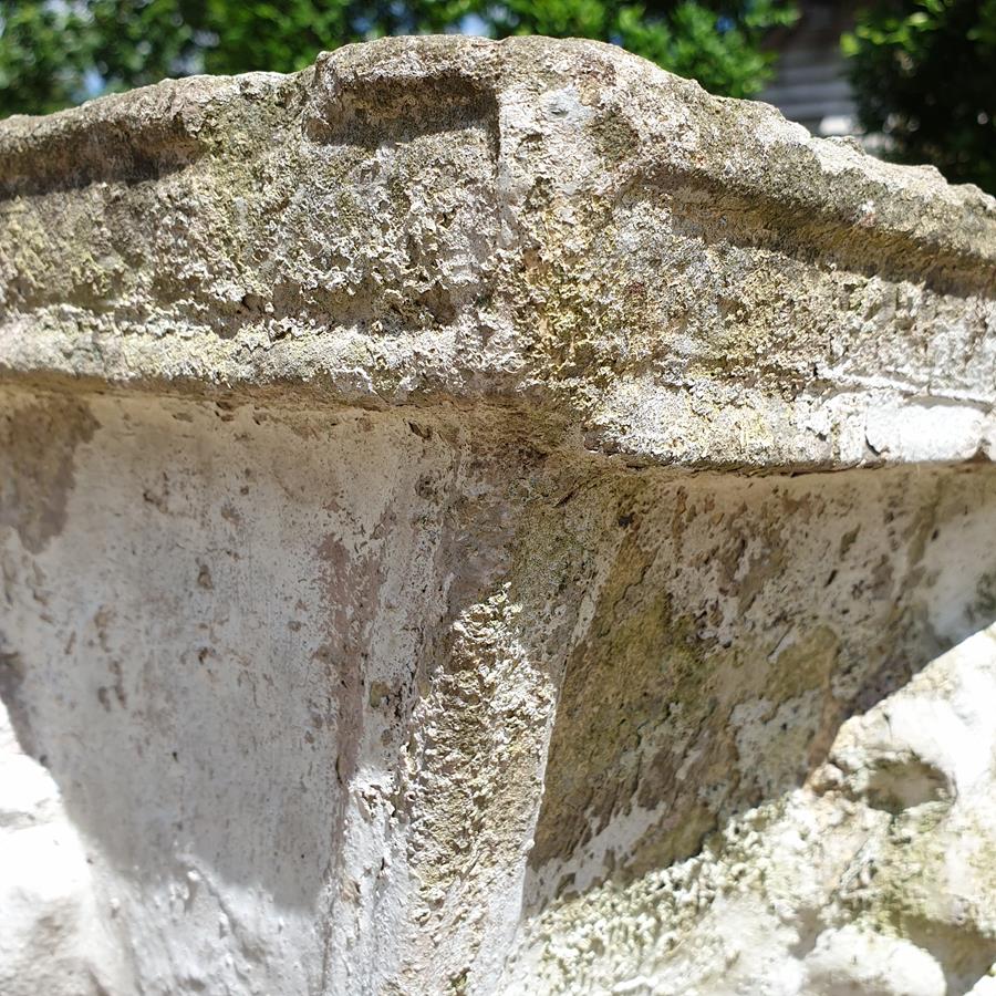 Lion Trough