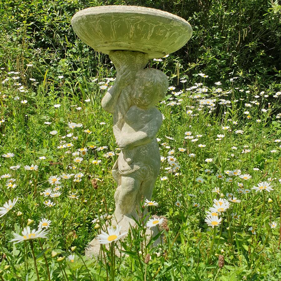 Bird Bath