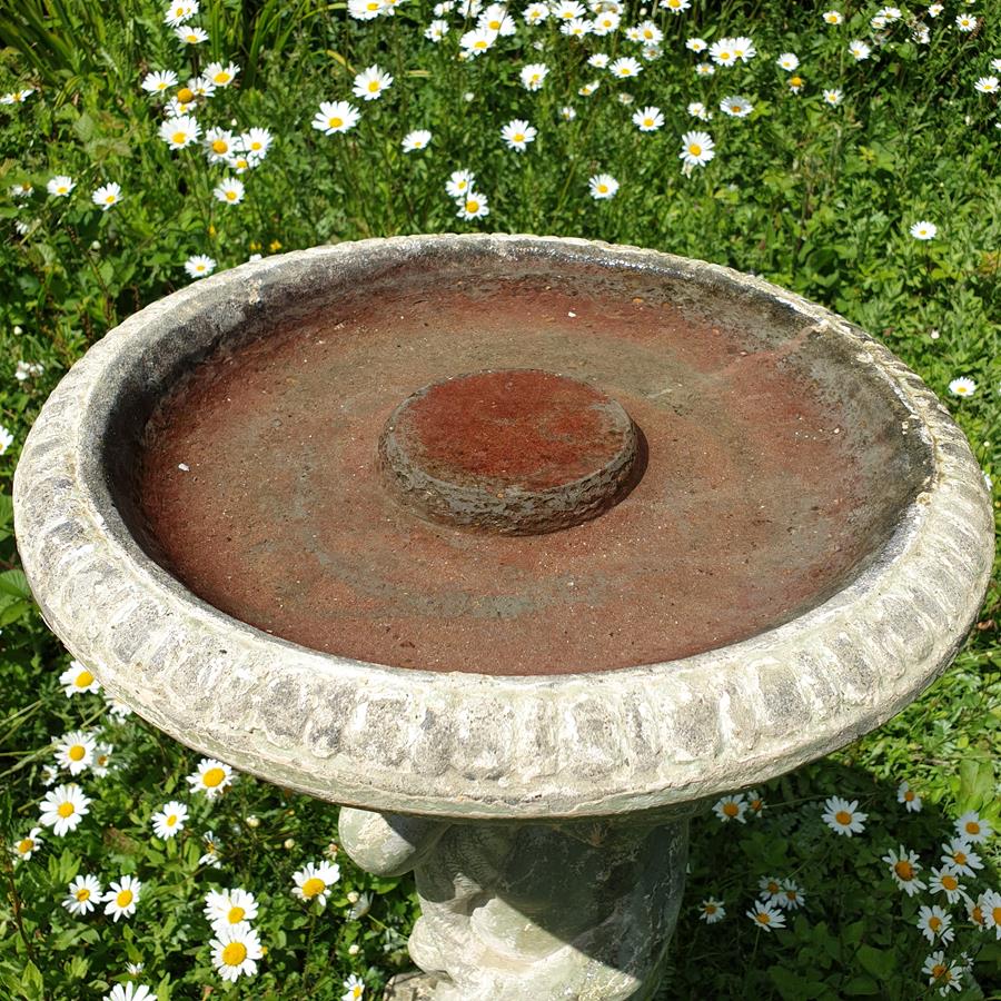 Bird Bath